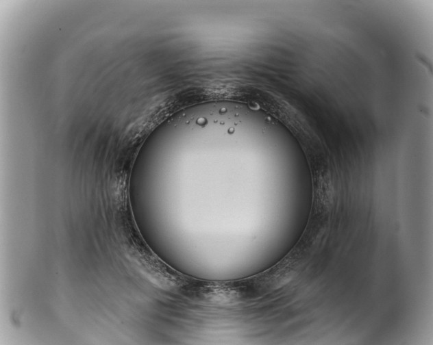 X0000102290601200808011514