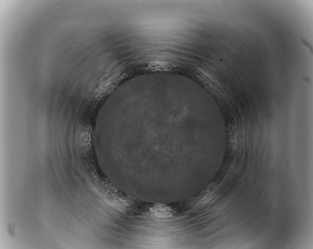 X0000102290603200808011514