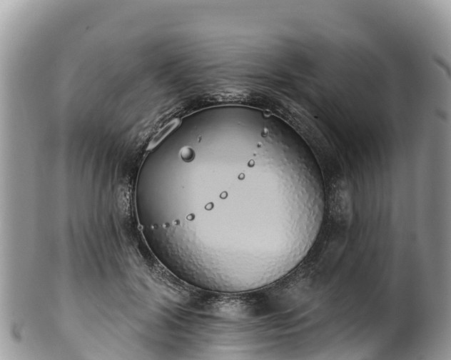 X0000102290604200808011514