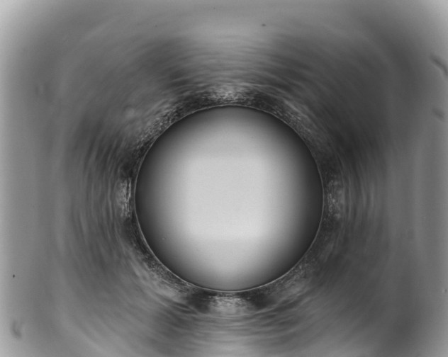 X0000102290605200808011514