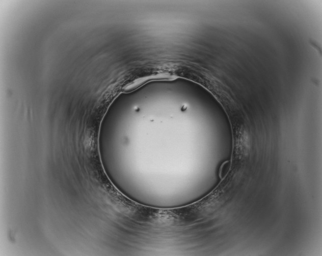 X0000102290608200808011514