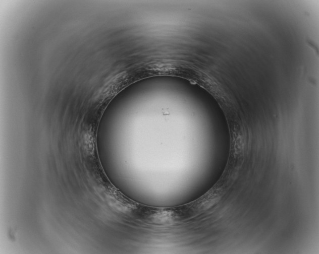 X0000102290609200808011514