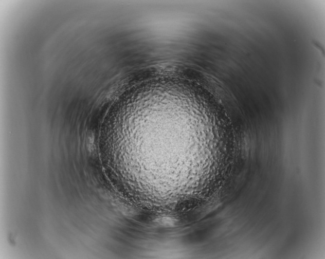 X0000102290610200808011514