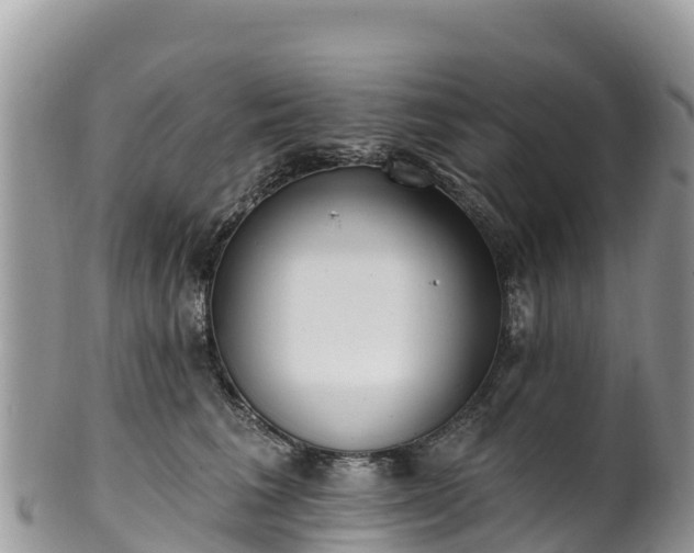 X0000102290613200808011514