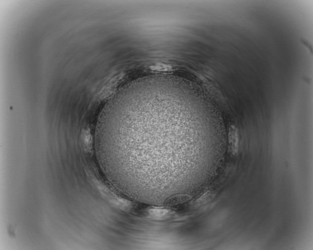 X0000102290614200808011514