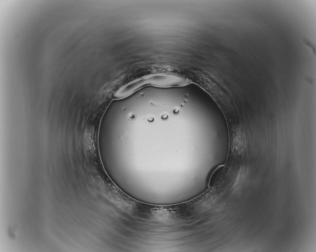 X0000102290616200808011514