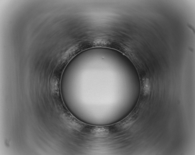 X0000102290619200808011514