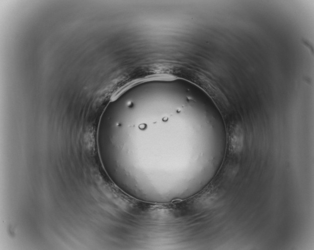 X0000102290620200808011514