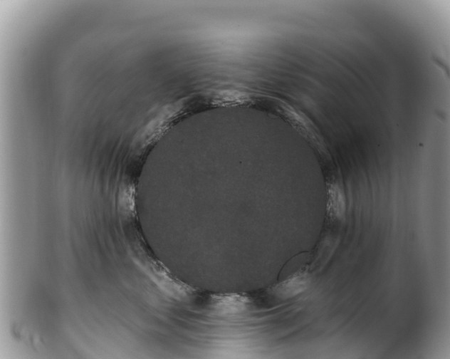 X0000102290621200808011514