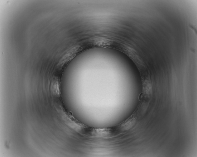 X0000102290622200808011514