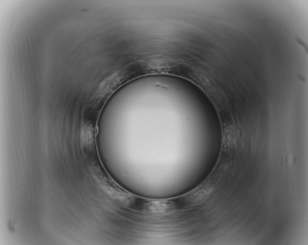 X0000102290623200808011514