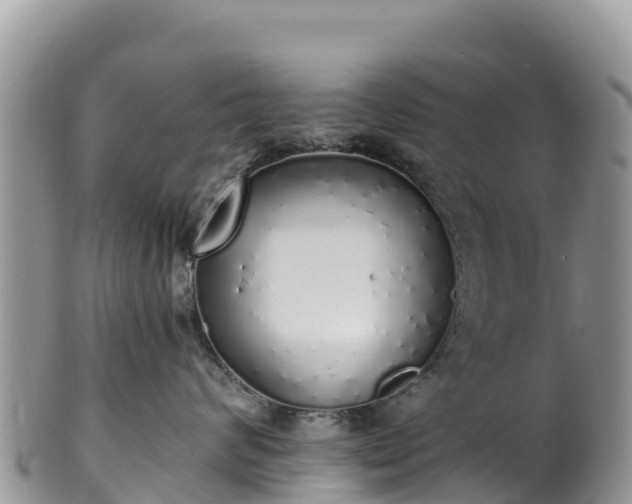 X0000102290624200808011514