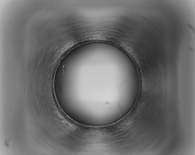 X0000102290625200808011513