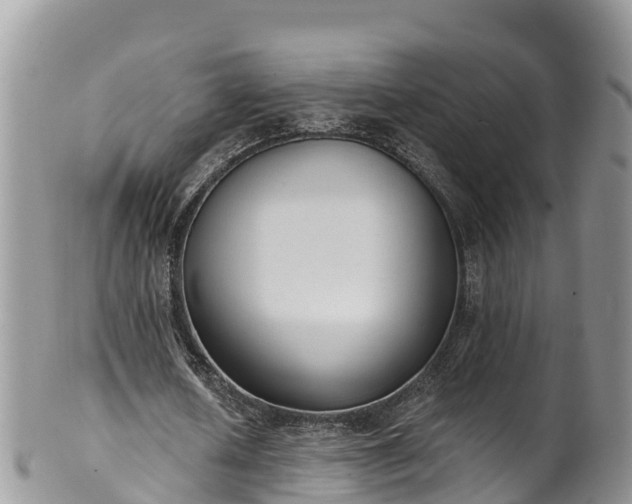 X0000102290626200808011513