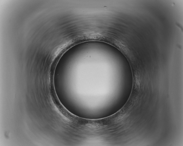 X0000102290630200808011514