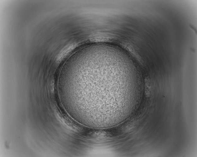 X0000102290631200808011514