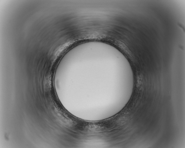 X0000102290632200808011514