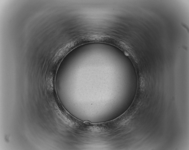 X0000102290633200808011514