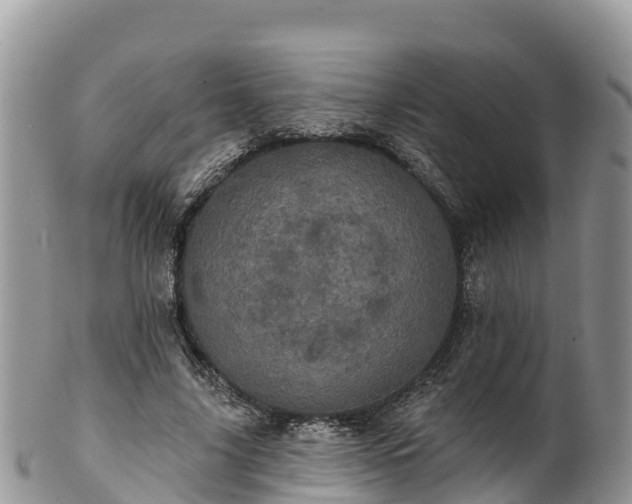 X0000102290635200808011514