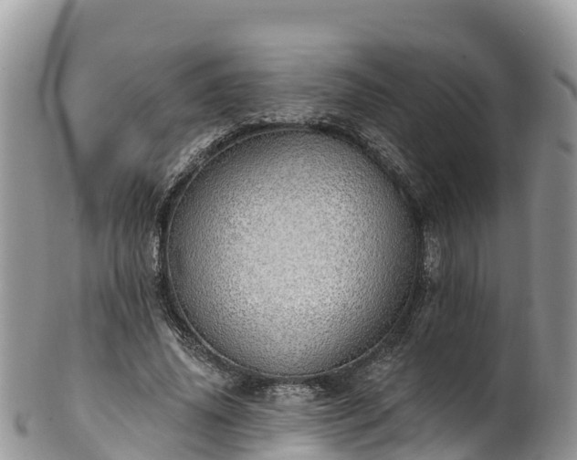 X0000102290636200808011514