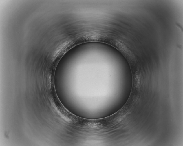 X0000102290638200808011514