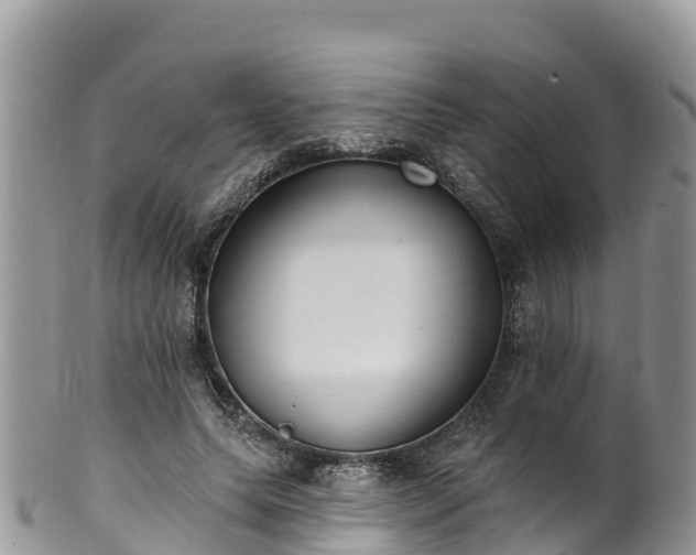 X0000102290639200808011514