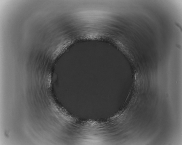 X0000102290640200808011514