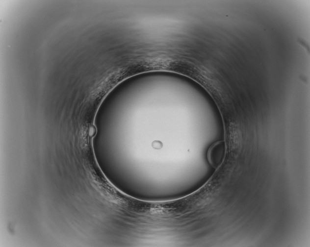 X0000102290641200808011514