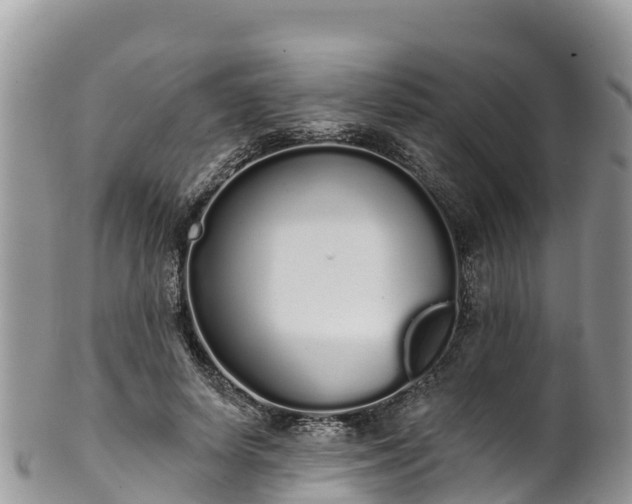 X0000102290642200808011514