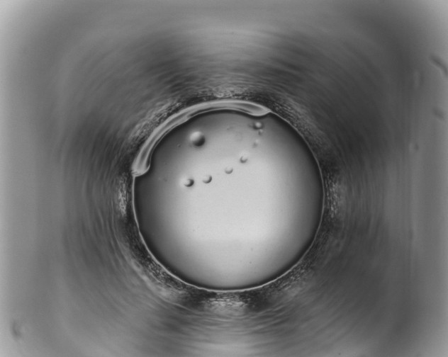 X0000102290644200808011514