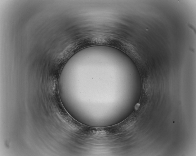 X0000102290645200808011514