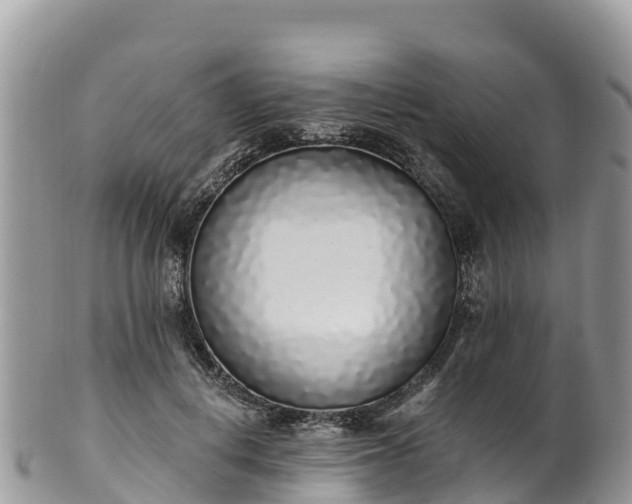 X0000102290648200808011514