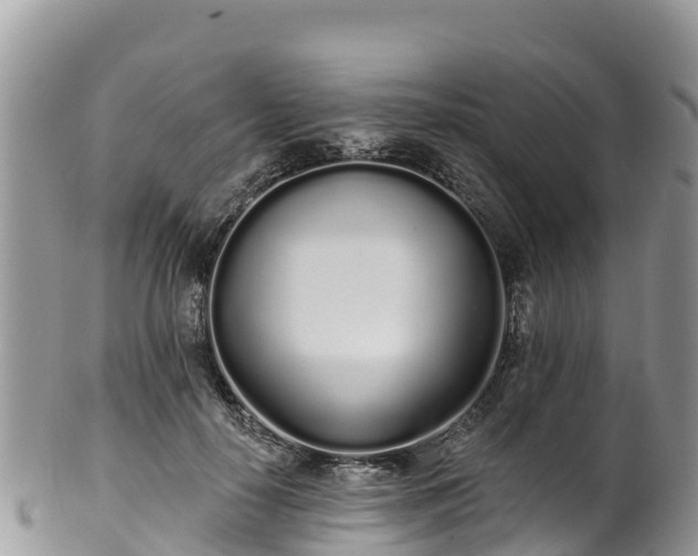 X0000102290650200808011514