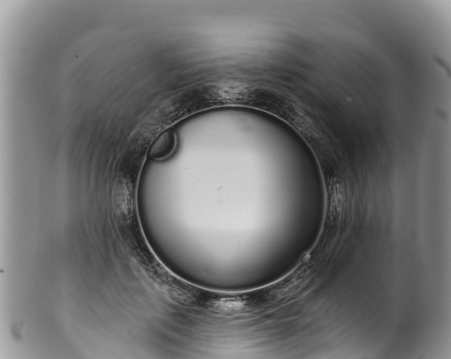 X0000102290651200808011514