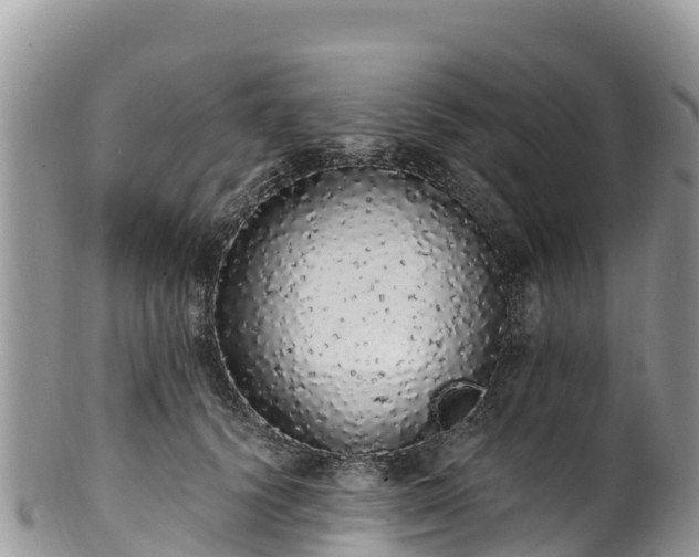 X0000102290656200808011514