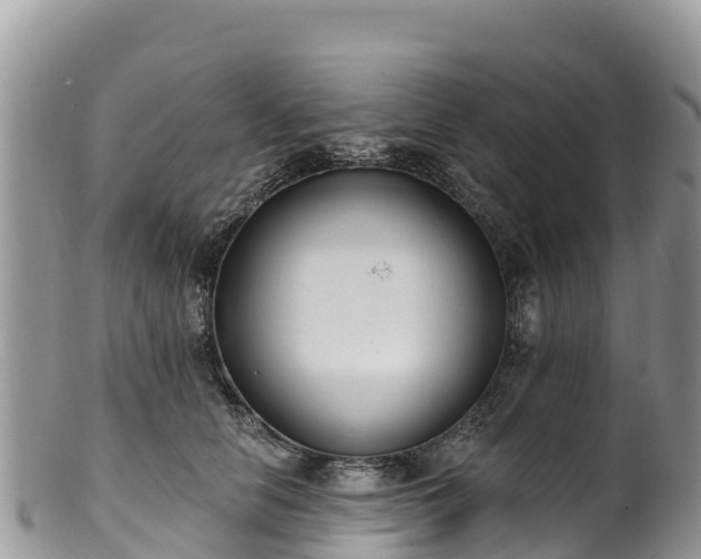 X0000102290658200808011514