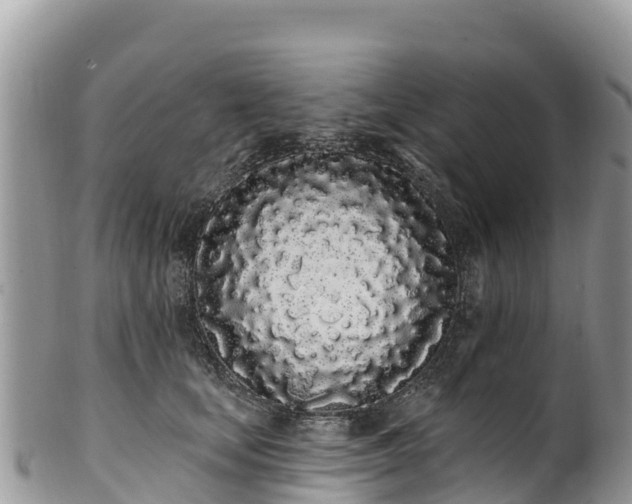 X0000102290659200808011514