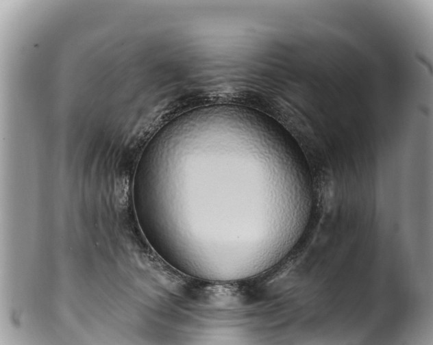 X0000102290660200808011514