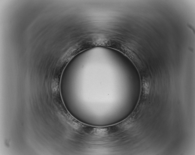 X0000102290665200808011514