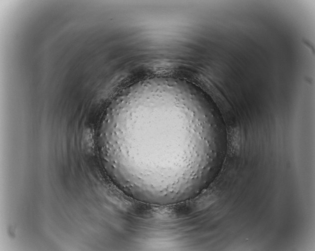 X0000102290667200808011514