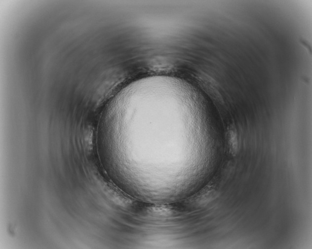 X0000102290668200808011514