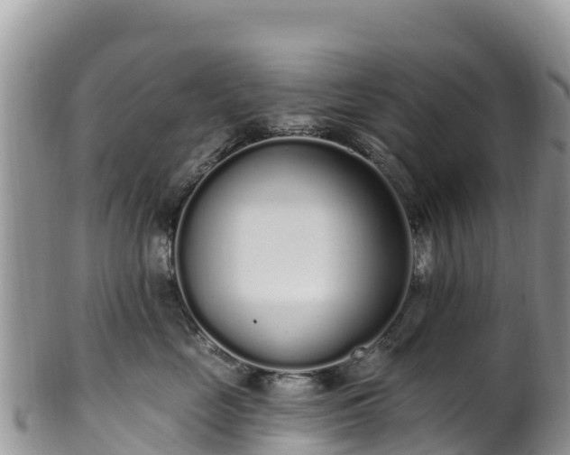 X0000102290669200808011514