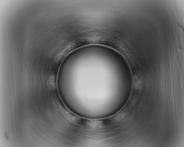 X0000102290670200808011514