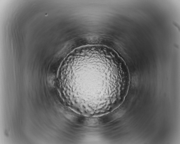 X0000102290671200808011514