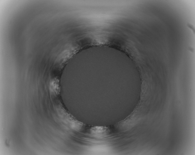 X0000102290672200808011514