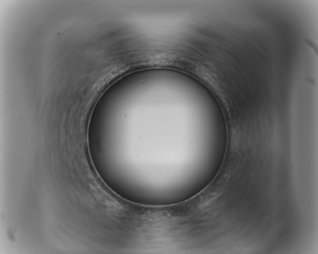 X0000102290673200808011513