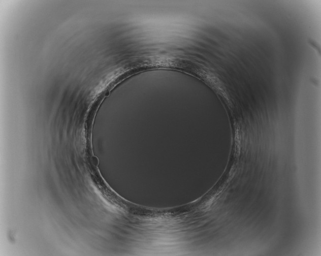 X0000102290674200808011513