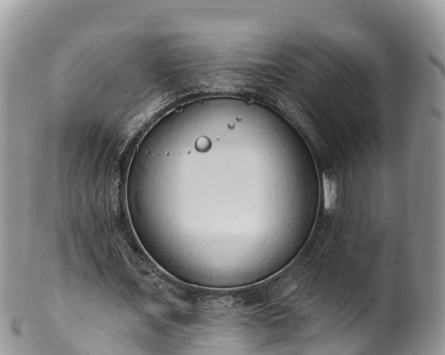 X0000102290675200808011513