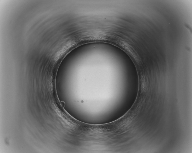 X0000102290677200808011513