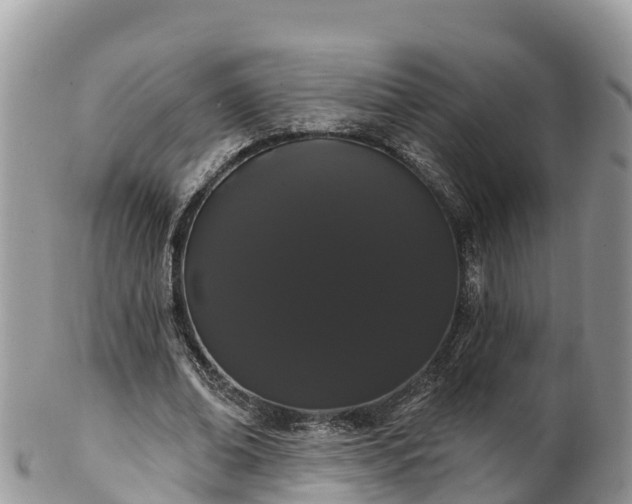 X0000102290678200808011513